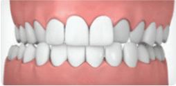 Detailed 3D model of healthy human teeth